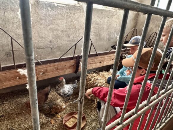 Ausflug_Bauernhof_1-min