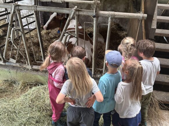 Ausflug_Bauernhof_11-min