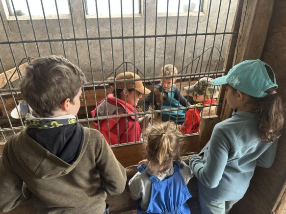 Ausflug_Bauernhof_3-min