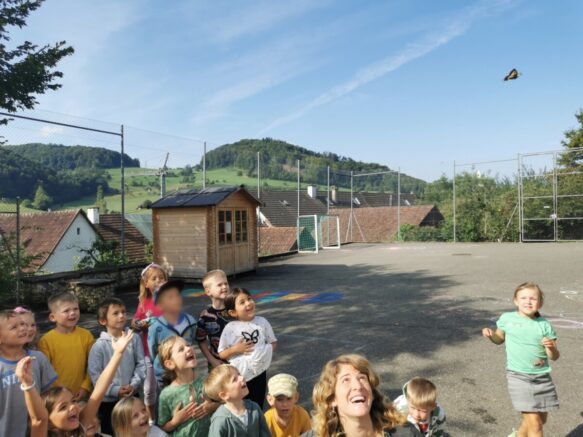 IMG_20240819_100334 Kopie