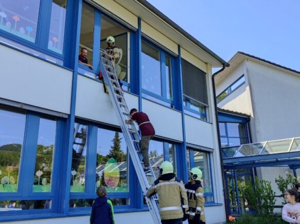 IMG20250517102429(1)